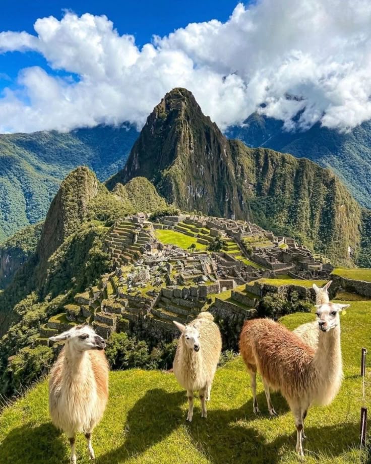 Cusco Inolvidable 5D / 4N — foto 12
