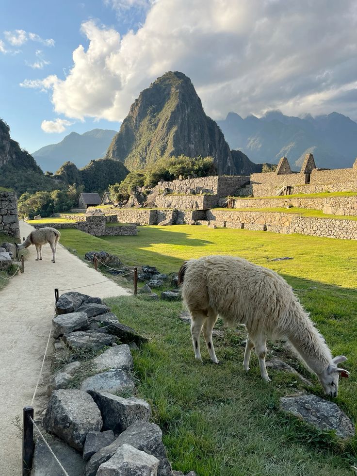 Cusco Inolvidable 5D / 4N — foto 11
