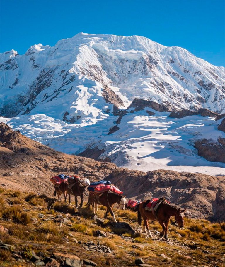 Salkantay Trek / Machu Picchu 5D / 4N — foto 4