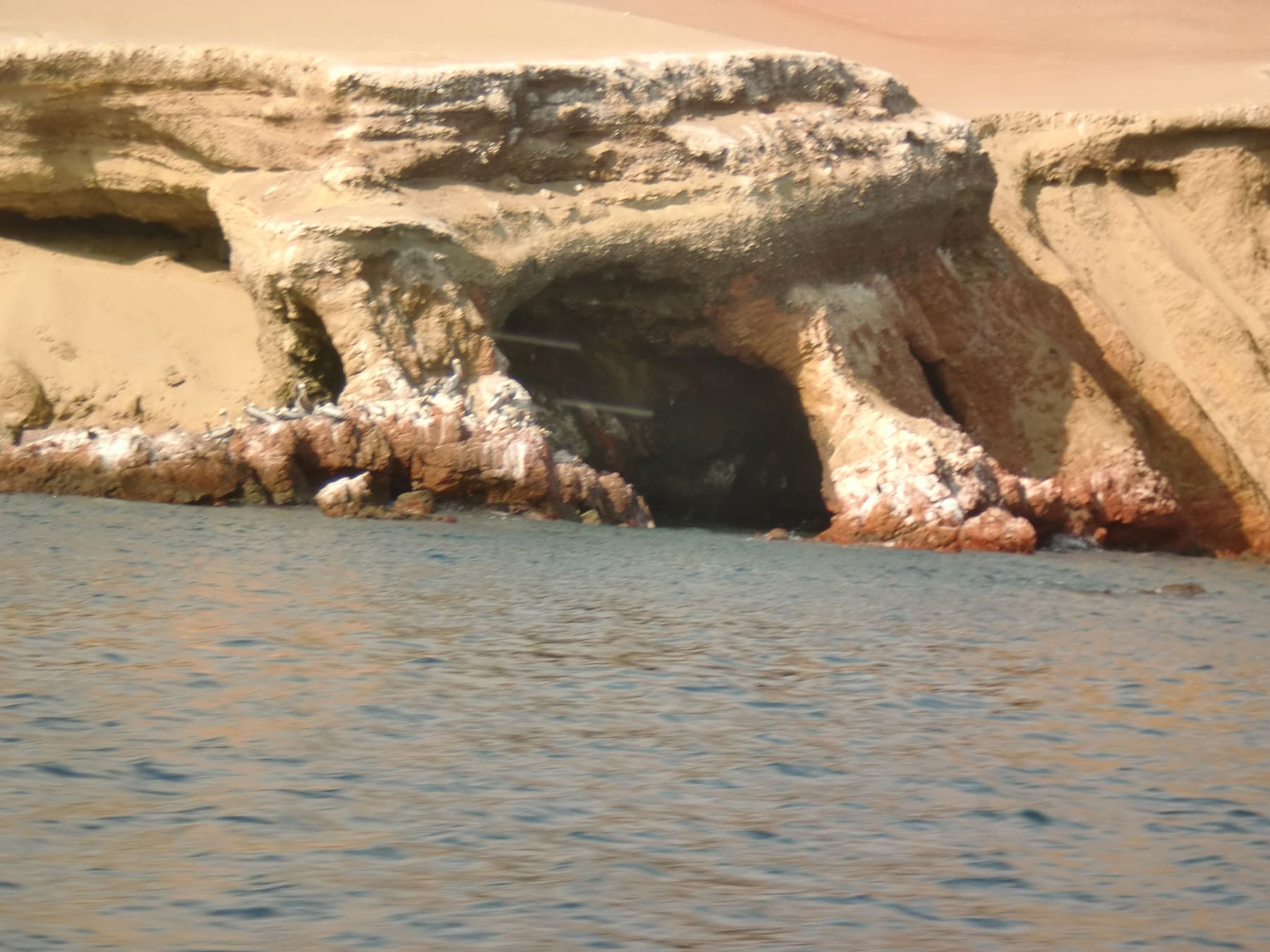 Islas Ballestas y Huacachina Full Day — foto 10