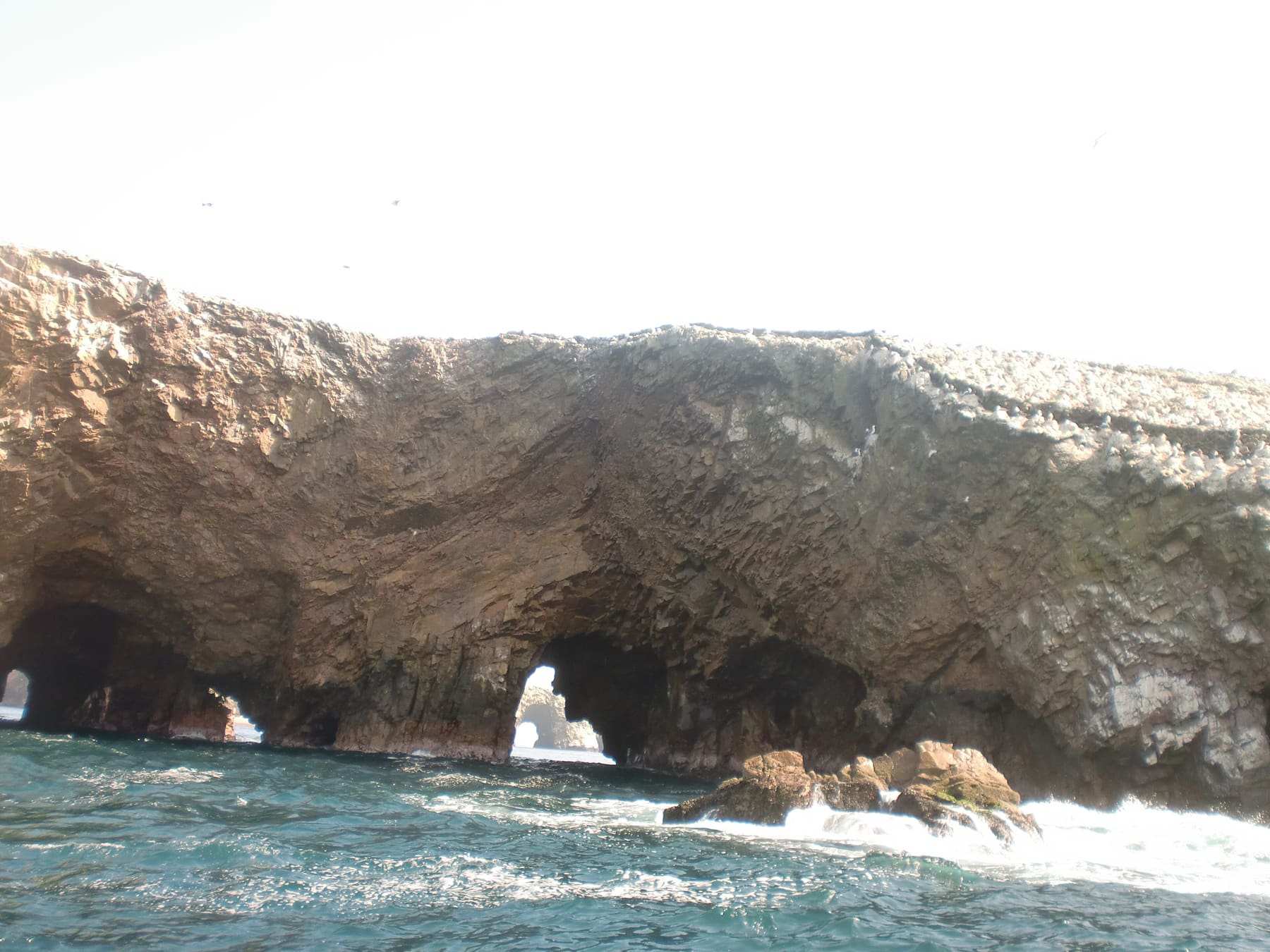 Islas Ballestas y Huacachina Full Day — foto 11