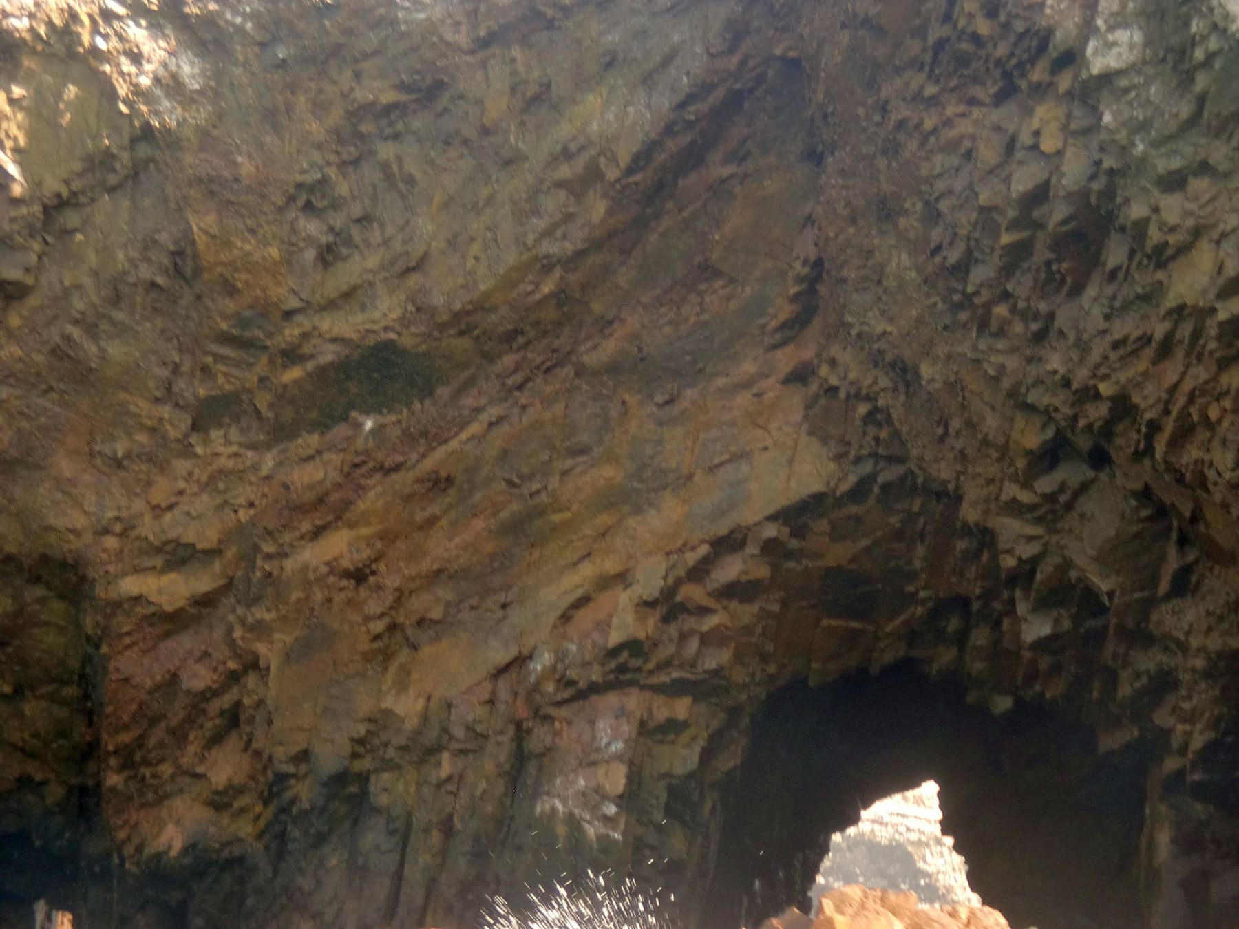 Islas Ballestas y Huacachina Full Day — foto 12