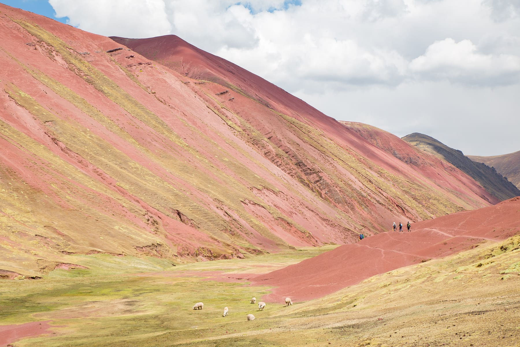 Montaña de Colores Full Day — foto 6