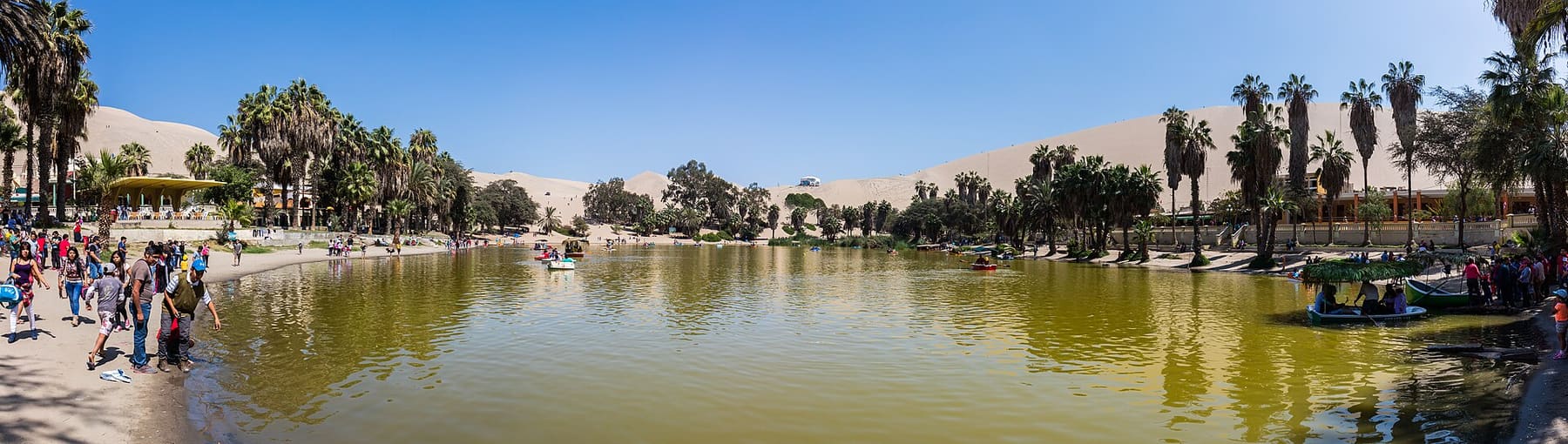 Islas Ballestas y Huacachina Full Day — foto 8