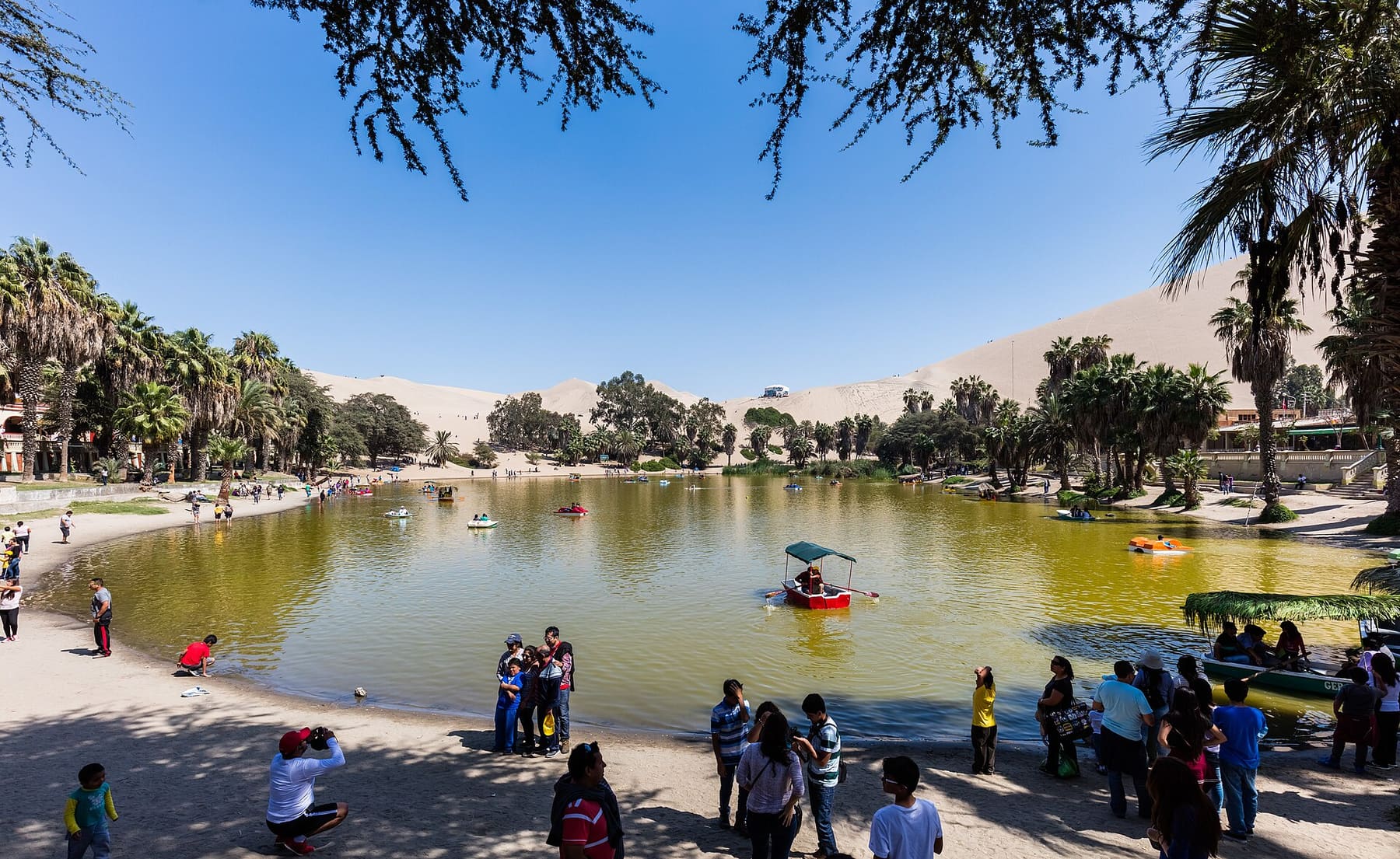 Islas Ballestas y Huacachina Full Day — foto 9