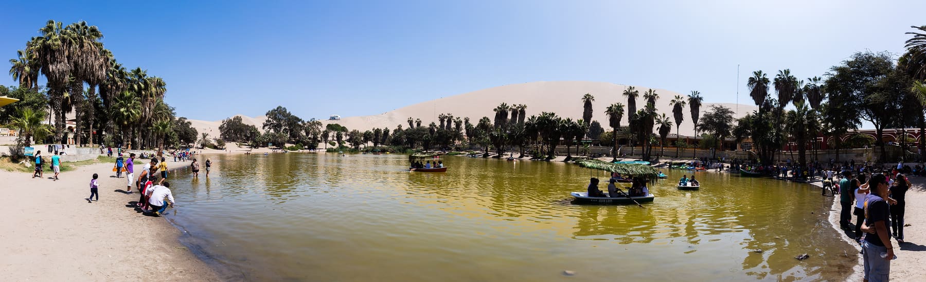 Islas Ballestas y Huacachina Full Day — foto 4